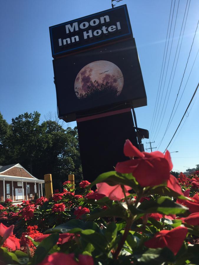 Moon Inn Hotel Alexandria Luaran gambar